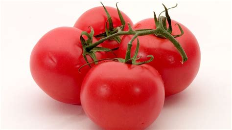 Is Tomato Fruit or Vegetable? Explained.