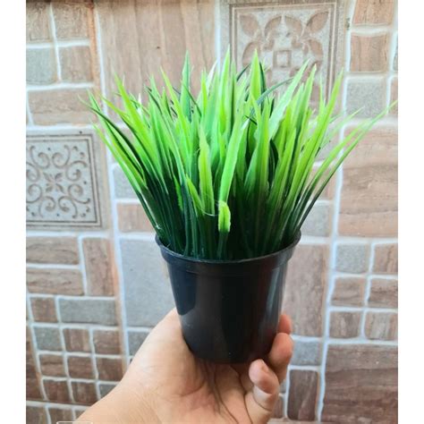 Jual TANAMAN HIAS RUMPUT SINTESIS HIASAN RUMAH PAJANGAN CAFE BUNGA MEJA ...