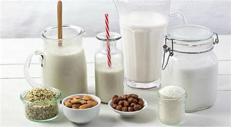 Milk Substitutes: 6 Terrific Dairy-Free Milk Substitutes