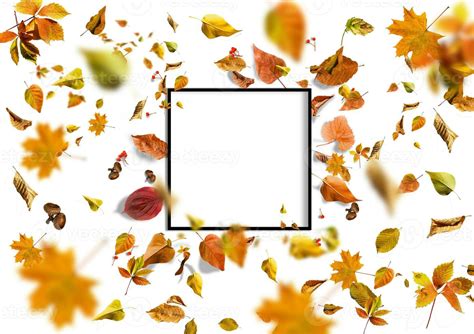 border frame of colorful autumn leaves isolated on white 24494247 Stock Photo at Vecteezy