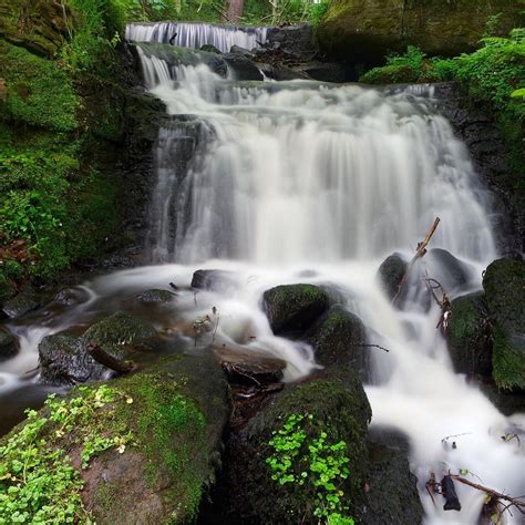 Rivelin Valley Nature Trail - All You Need to Know BEFORE You Go (2024)