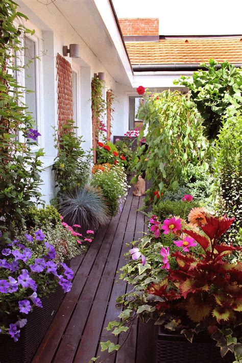 30 Stunning Balcony Garden Ideas That Will Inspire You