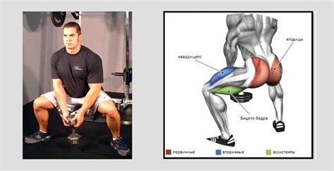 Bodyweight Sumo Squat Instructions And Video Weight Training Guide | atelier-yuwa.ciao.jp