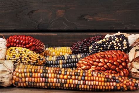 Different Maize and Corn Types in the Basket Stock Photo - Image of maiz, corn: 68958358