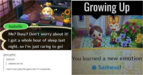 15 Hilarious Animal Crossing Memes Only True Fans Will Understand