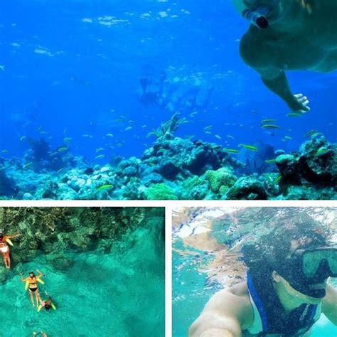 The Best Places To Go Snorkeling In The Dominican Republic – DesertDivers