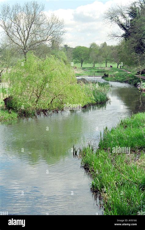 River Colne, Cassiobury Park, Watford, Hertfordshire, UK Stock Photo ...