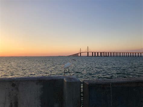 The Spectacular Bridge In Florida That Should Be On Your Bucket List