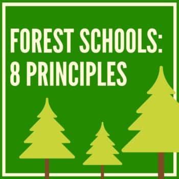 Forest Schools Philosophy & Curriculum, Explained! (2024)