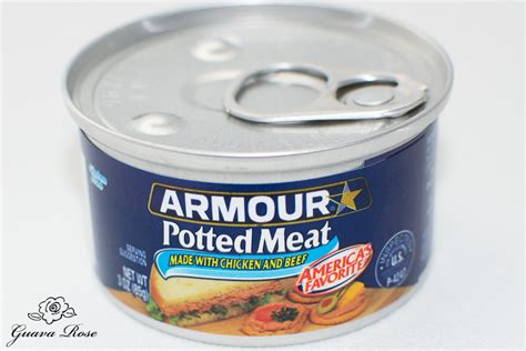 canned potted meat recipe