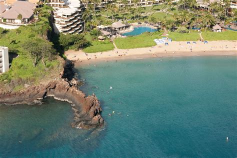 Best Maui Snorkeling Spots ~ From Black Rock To Molokini : Aloha Stoked ...