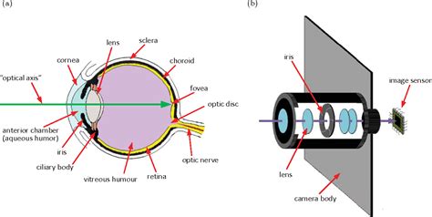 [PDF] Toward a digital camera to rival the human eye | Semantic Scholar