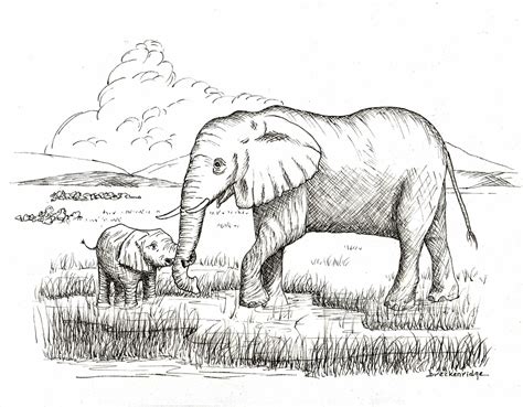 Mother and Baby Elephant Drawing Print