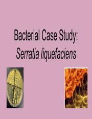 Bacterial Case Study: Serratia liquefaciens | Course Hero