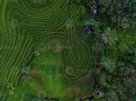 Aerial view of green rice terraces in Indonesia 21588804 Stock Photo at ...