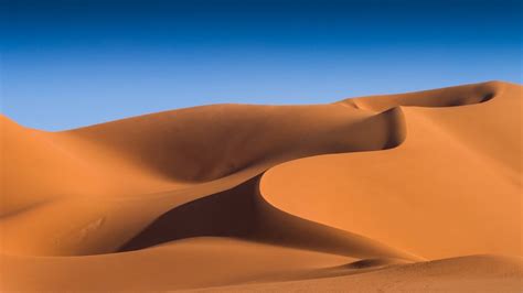 Golden silky Sahara desert sand dunes at sunset, In Amenas, Illizi, Algeria | Windows Spotlight ...