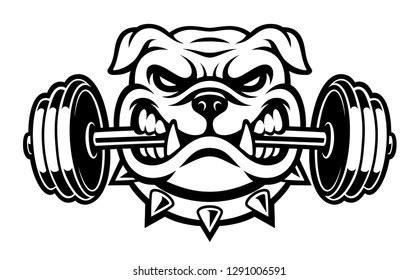 Lion Bodybuilding Mascots Vector Illustration Stock Vector (Royalty Free) 2278133959 | Shutterstock