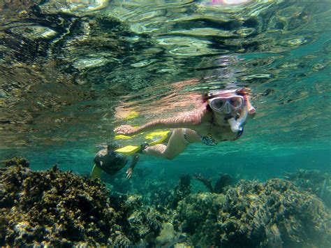 A snorkeler among some beautiful corals and enjoying every minute of it. | Island tour, Tours ...