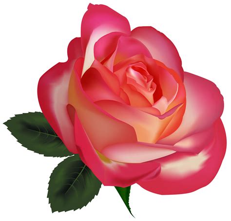 Rose PNG HD Images, Free Rose Clipart Download - Free Transparent PNG Logos