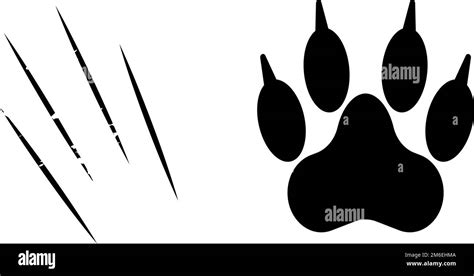 Paw with claws. Scratching claw. Animal attack. Editable vector Stock Vector Image & Art - Alamy