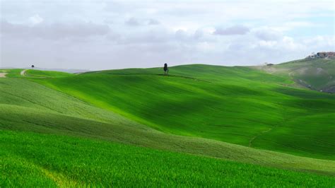 Sfondi : prateria, campo, verde, ecosistema, pascolo, cielo, pianura ...