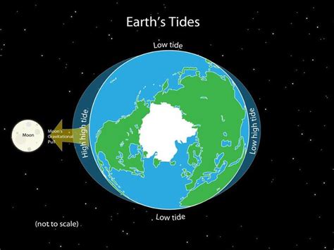 The Earth's rotation and the gravitational pull of the sun and moon create tides. | Earth sun ...