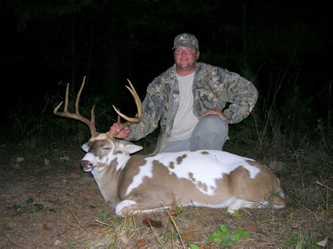 TonyRogers.com - Piebald Deer 2