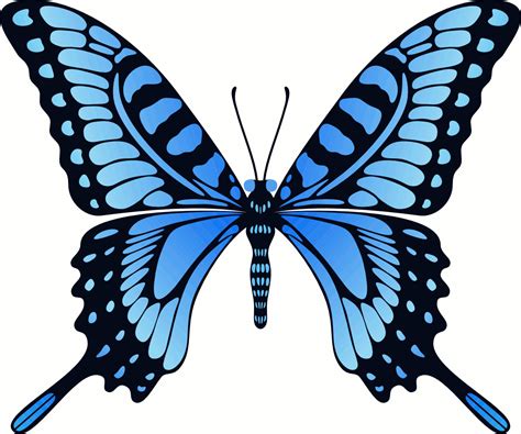 Flying Blue Butterfly (Animation GIF) by CenCerberon on DeviantArt