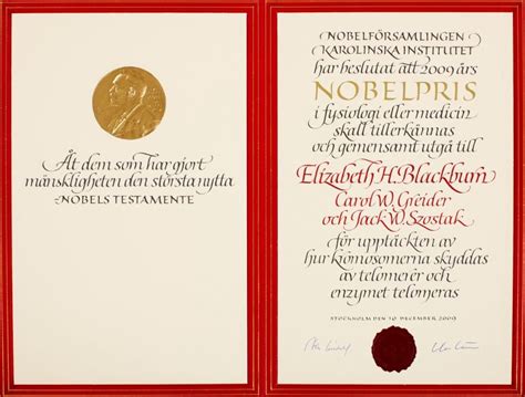 A work of art in the form of a diploma - NobelPrize.org