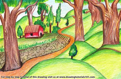 How to Draw a Forest Scene (Forests) Step by Step | DrawingTutorials101.com