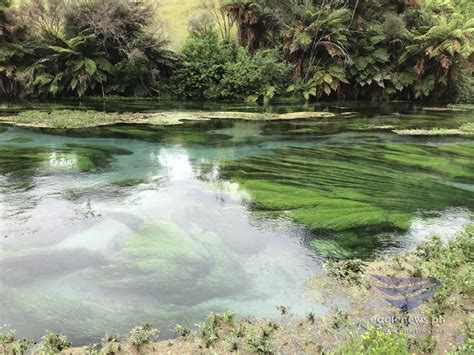 #EBCphotography: Clear blue river in New Zealand