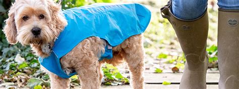 Brand Spotlight: Ruffwear - Dog Coats and Walking Accessories – Lords & Labradors