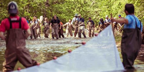 Fish conservation | College of Natural Resources and Environment ...