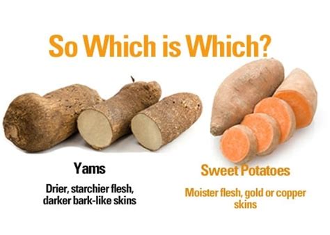 Yam Or Sweet Potato - How Do You Know Which Is Which? - Farmers' Almanac - Plan Your Day. Grow ...