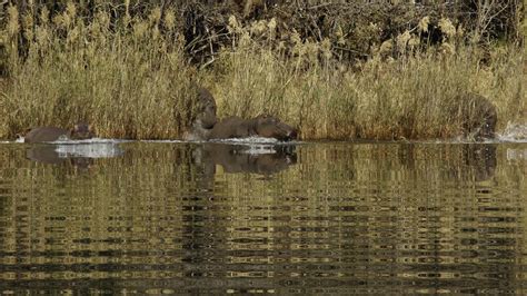 Blyde River Canyon Boat Cruise in Sabie - Activitar.com