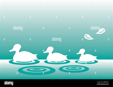 Group of swimming ducks Stock Vector Images - Alamy