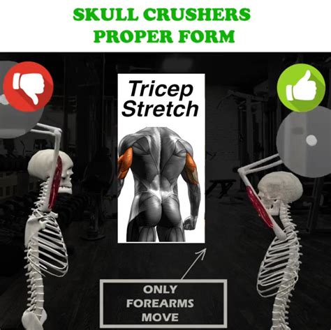 SKULL CRUSHERS PROPER FORM | Video & Guide - weighteasyloss