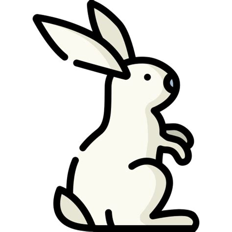 Hare Special Lineal color icon