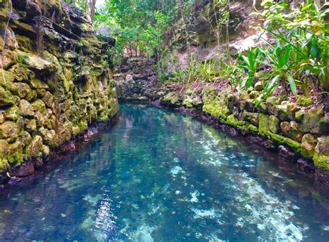 Discover the hidden and unknown parts of Xcaret Eco Park - Everything Playa Del Carmen