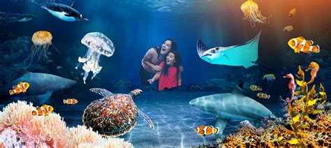 Visit SEA LIFE Great Yarmouth Aquarium Centre