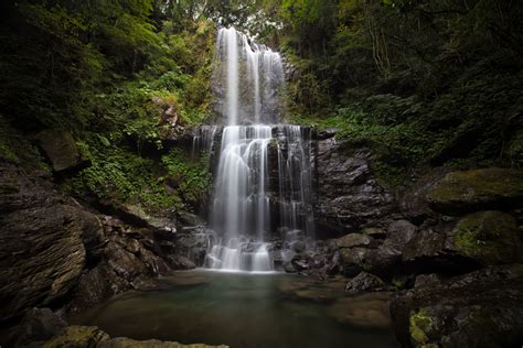 Cloud Forest Waterfall (雲森瀑布)