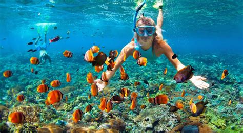 Best resorts in the Maldives for snorkeling. #Asia #maldives #adventure #travel #hotels # ...