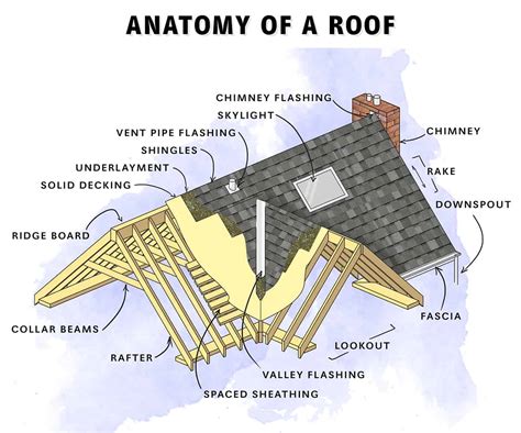 Parts of a Roof Explained (Diagram Included) - Homenish