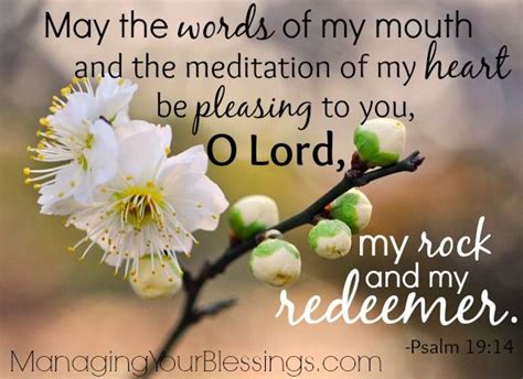 Scripture Sunday (Psalm 19:14) May the words of my mouth, and the ...