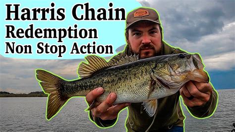 Harris Chain of Lakes Bass Fishing in Lake Griffin. Non-Stop Off Shore Fishing - YouTube