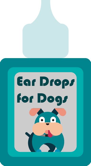 Top 5 Best Ear Drops For Dogs - Buyer’s Guide & Reviews