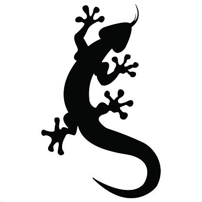 Salamander Clipart - ClipArt Best