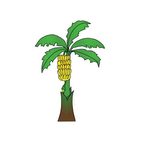 Update more than 142 simple easy banana tree drawing best - seven.edu.vn