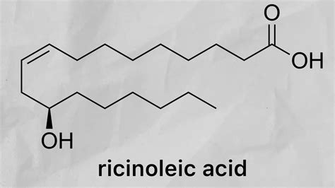 Ricinoleic acid from castor oil (phenylacetylrinvanil part 2) - YouTube