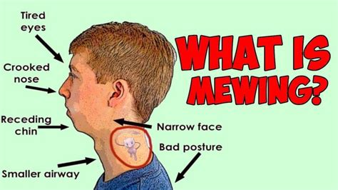 What is MEWING? How To Mew And How It Can Change Your Face - YouTube ...